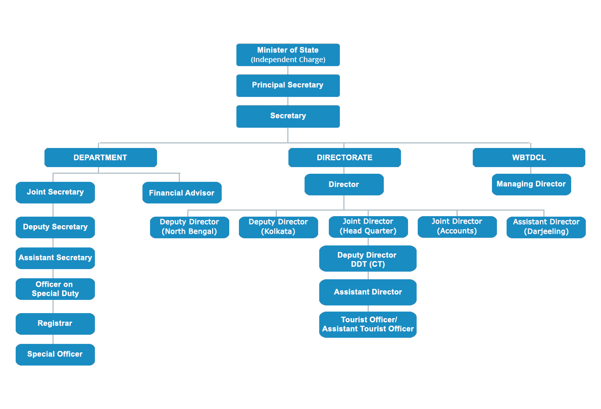 ORGANISATION STRUCTURE